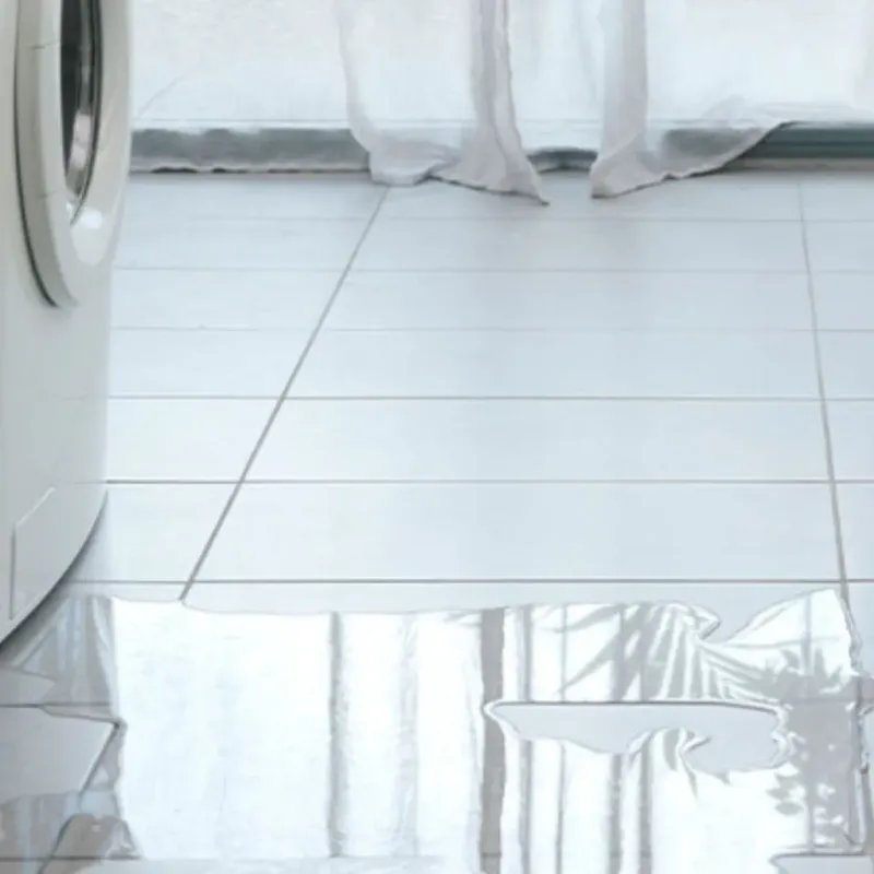 Appliance Leak Cleanup in Silver Lake, FL